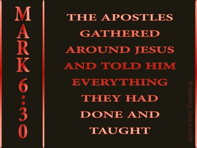 Mark 6:30 The Disciples Gathered Around Jesus (black)